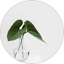 Andressa Rosso profile picture